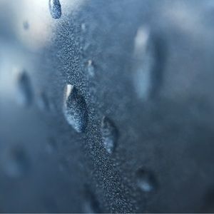 Meet your Posher, Marie